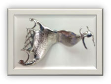 Partial Denture 4 Partial Denture 4