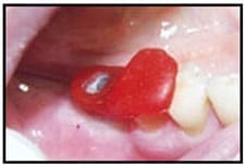 Fig. 7 Fig. 7