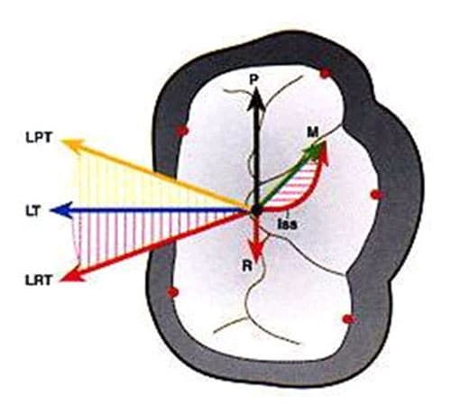 Advanced Dental Occlusion