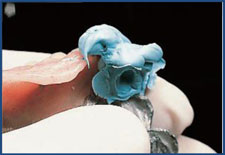 Figure 3 Figure 3